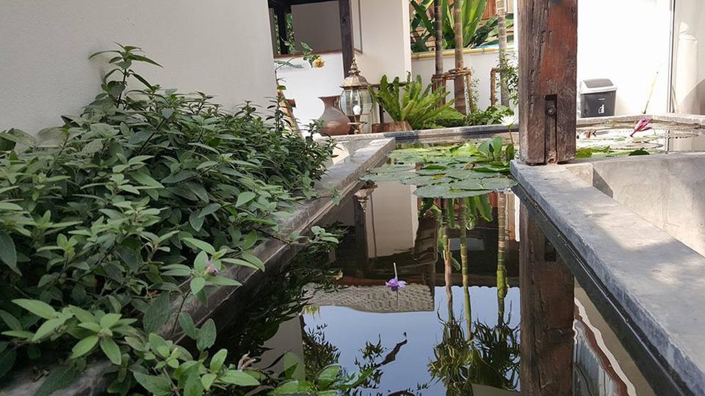 The Home Chiangmai Luxury Guesthouse Τσιάνγκ Μάι Εξωτερικό φωτογραφία