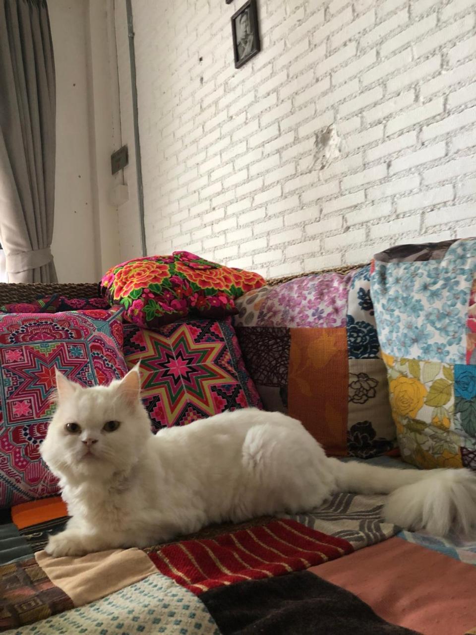 The Home Chiangmai Luxury Guesthouse Τσιάνγκ Μάι Εξωτερικό φωτογραφία